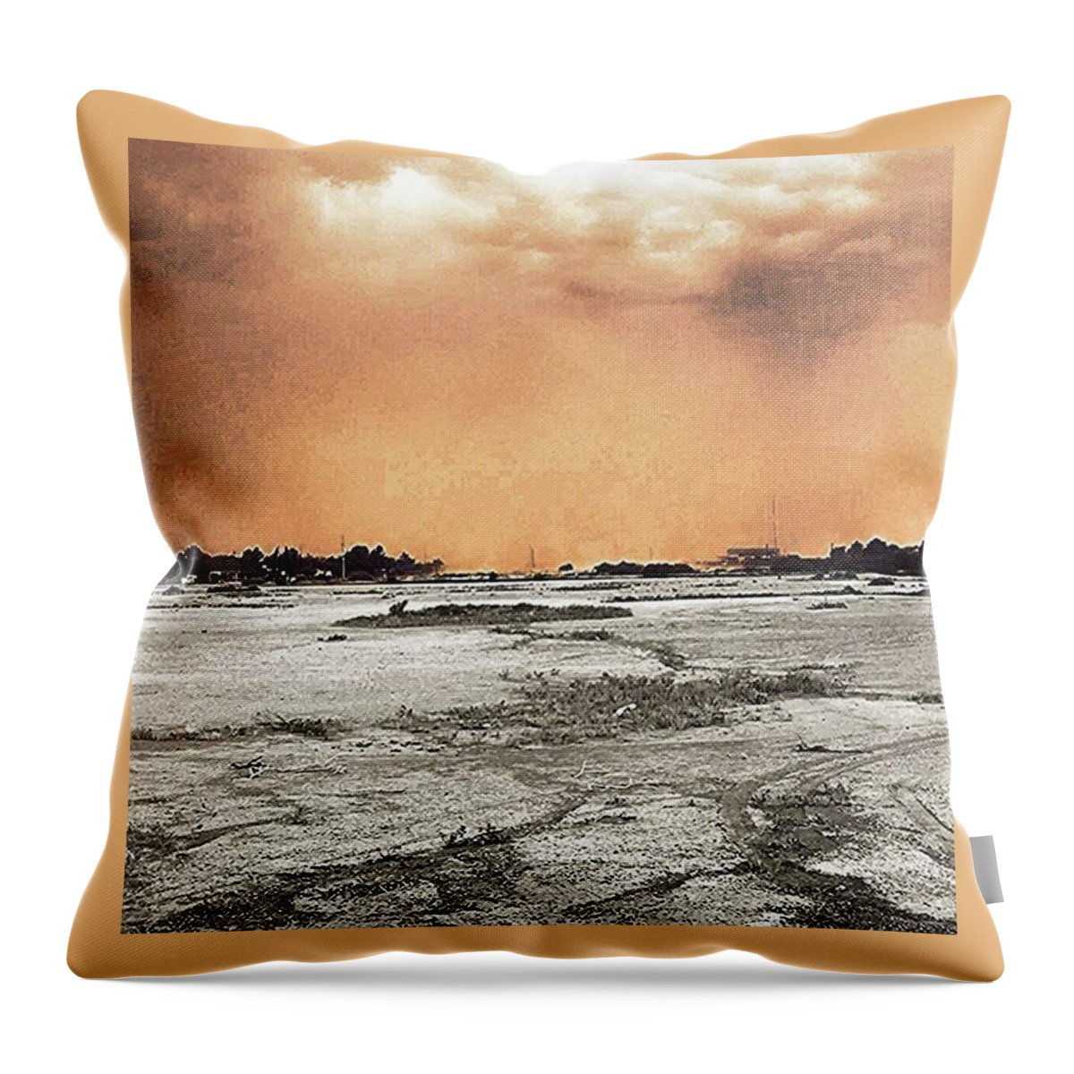 Arizona Throw Pillow featuring the photograph Watching The Haboob Roll In by Speedy Birdman