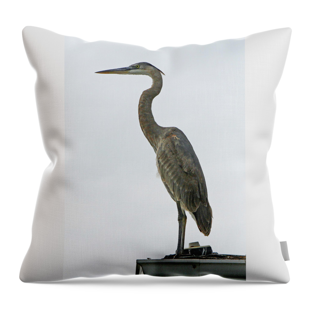 Great Blue Heron Throw Pillow featuring the pyrography Watching the Harbor by Shoal Hollingsworth