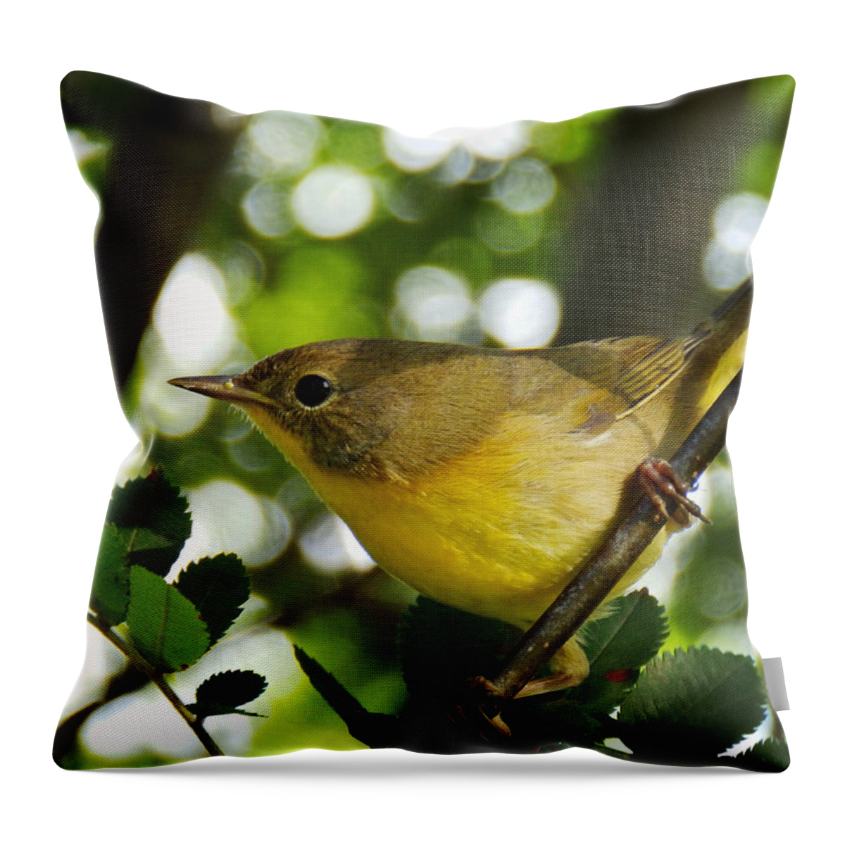 Common Yellowthroat Throw Pillow featuring the photograph Watching The Season Change by Zinvolle Art