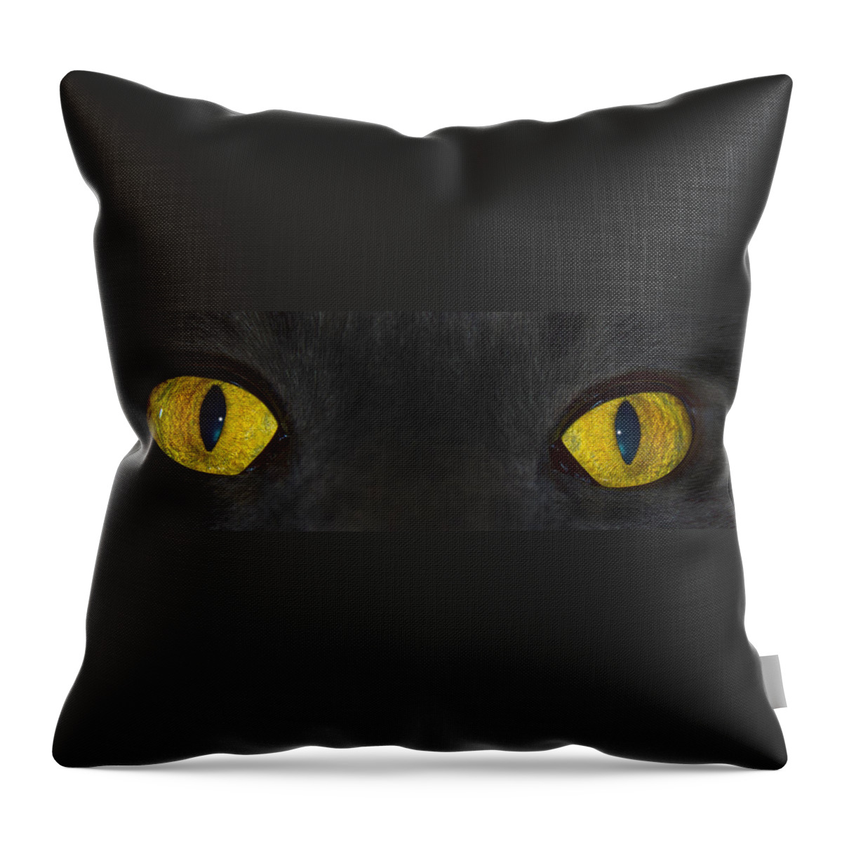 Cat Eyes Throw Pillow featuring the photograph Watching You by Shane Bechler