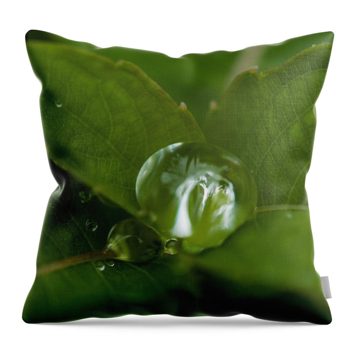 Absence Throw Pillow featuring the photograph Water ball by Brian Green
