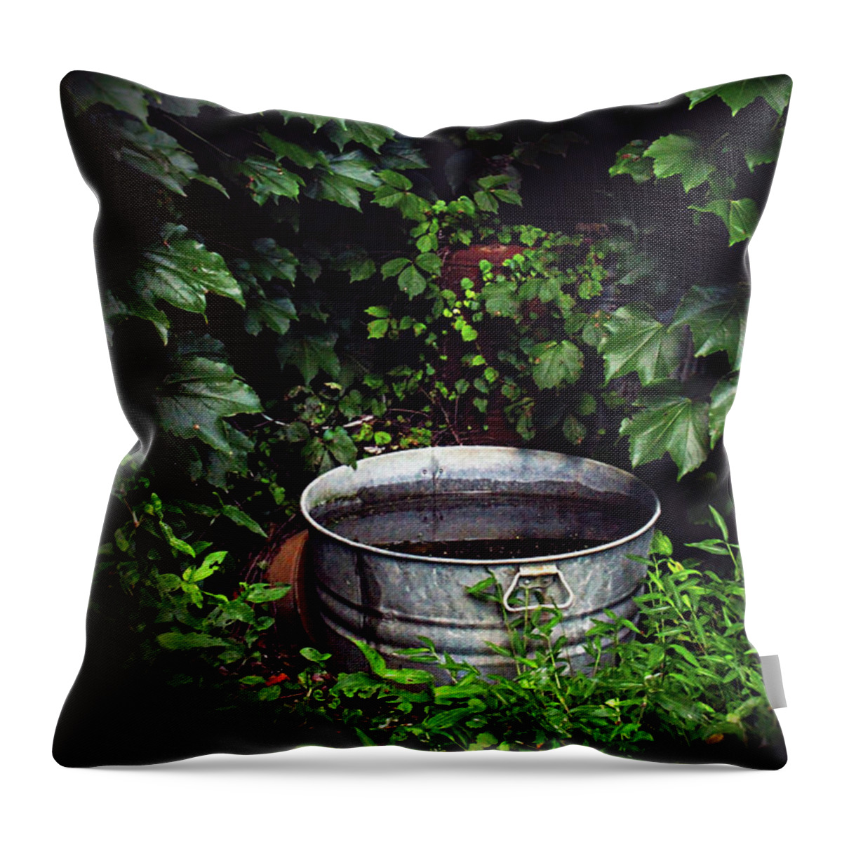 Water Throw Pillow featuring the photograph Water Bearer by Jessica Brawley