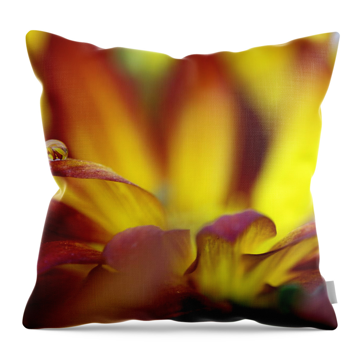 Water Drop Throw Pillow featuring the photograph Water Drop by Andreas Freund