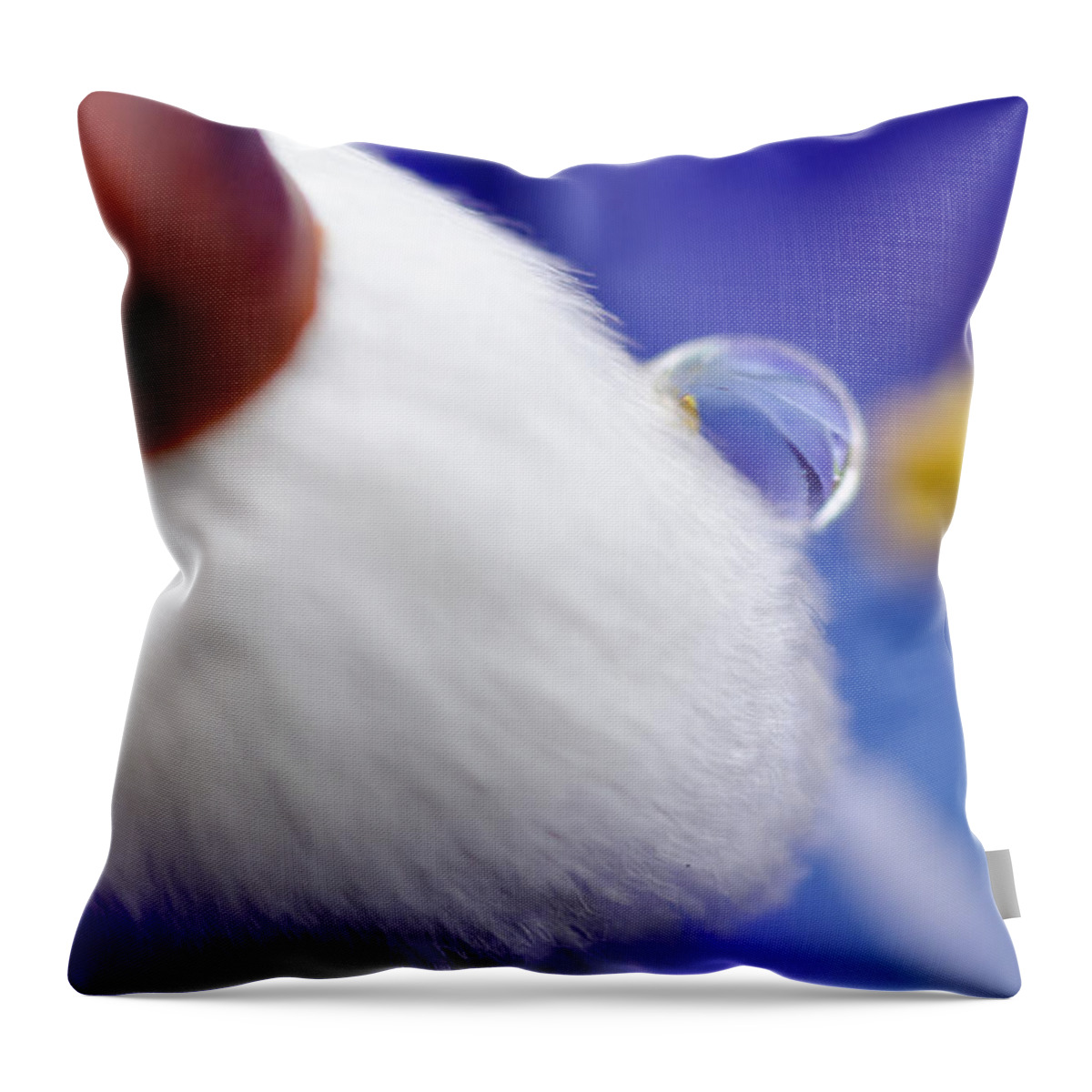 Macro Photography Throw Pillow featuring the photograph Water Drop on Willow by Crystal Wightman