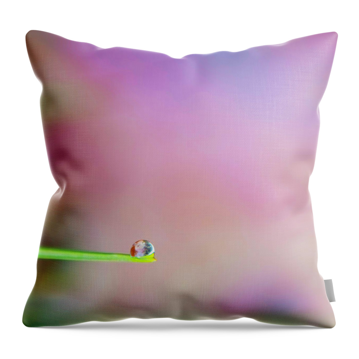 Mission Trails Throw Pillow featuring the photograph Water Droplet by Nicole Swanger