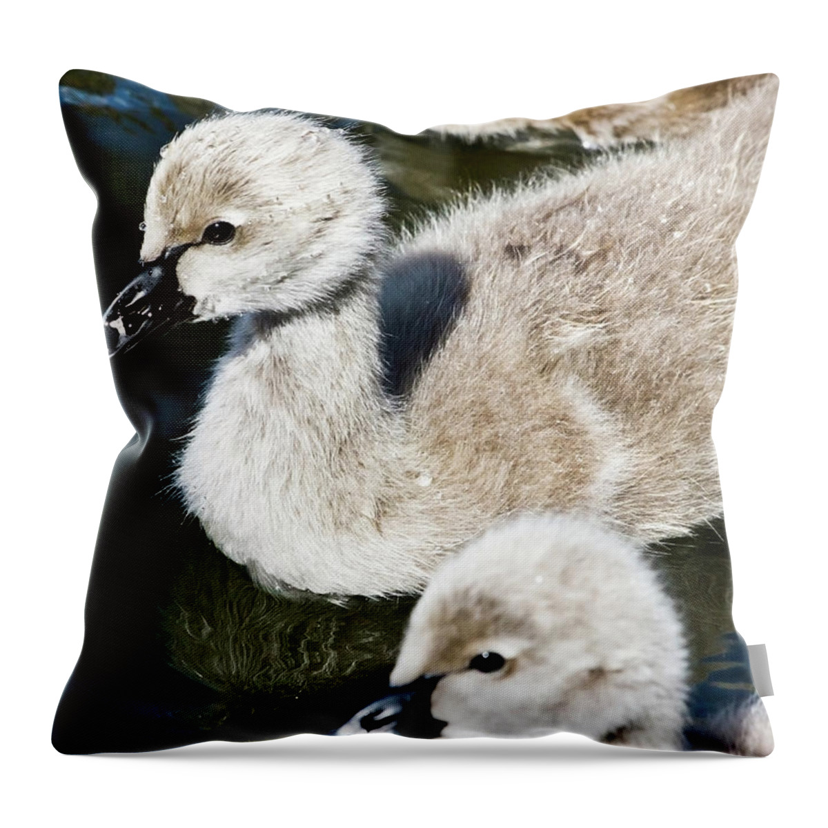 Cygnet Throw Pillow featuring the photograph Water Droplets Falling Down by Miroslava Jurcik