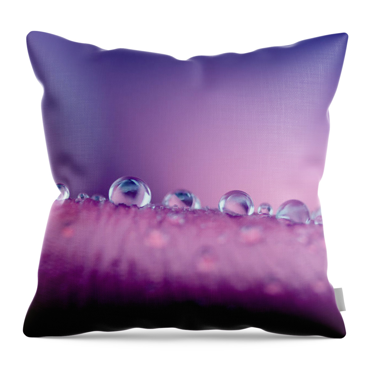Rain Drop Throw Pillow featuring the photograph Water Drops Abstract by Crystal Wightman