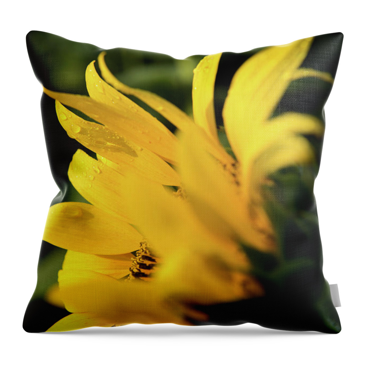 Bloom Throw Pillow featuring the photograph Water Drops and Sunflower Petals by Dennis Dame