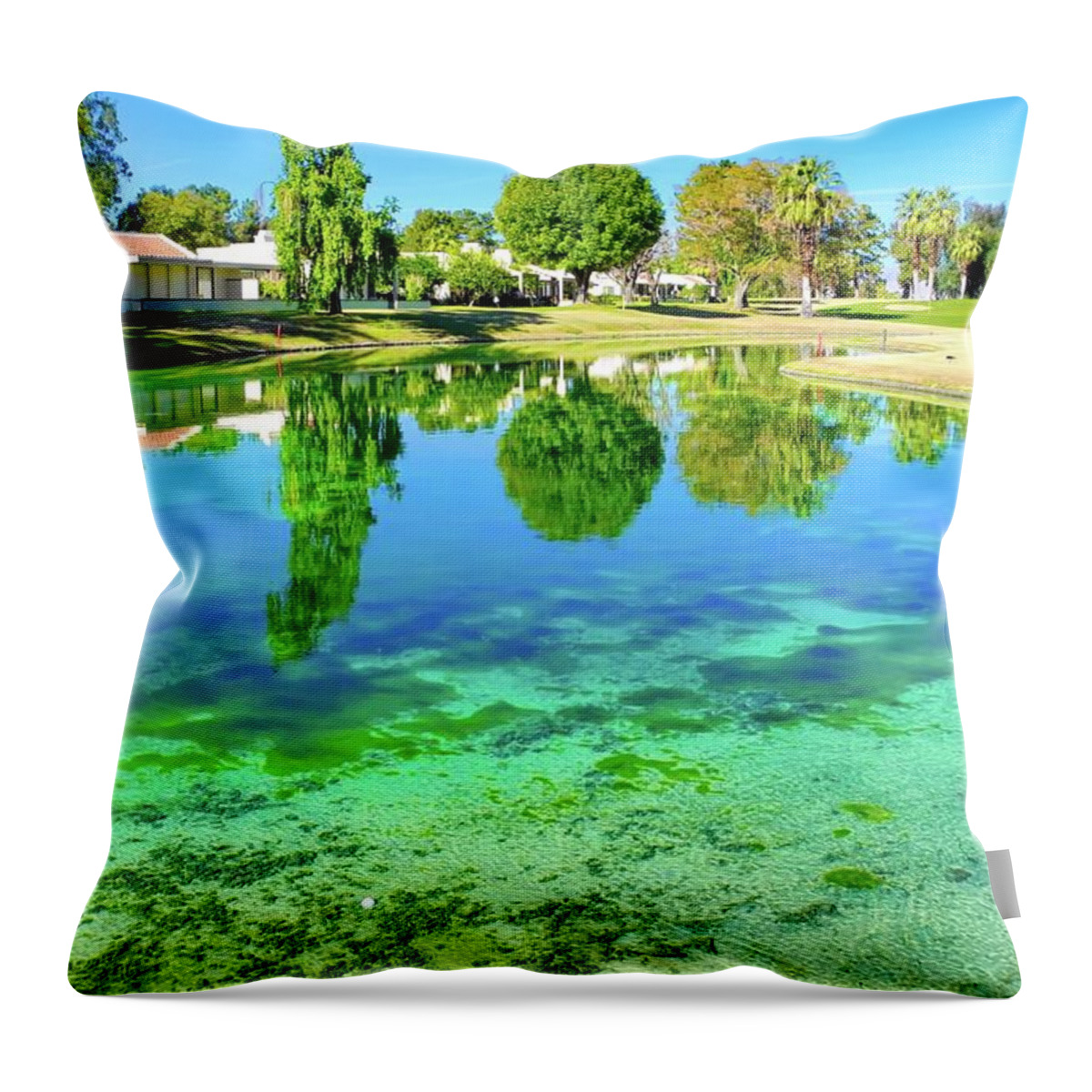 Golf Courses Throw Pillow featuring the photograph Water Hazard by Kirsten Giving