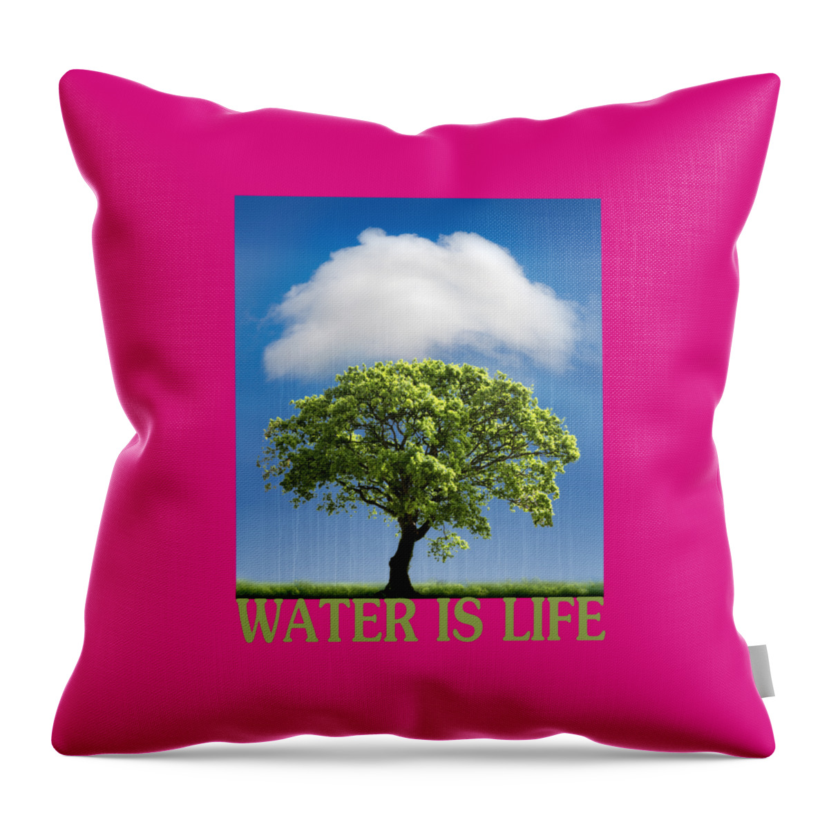 Water Throw Pillow featuring the photograph Water is Life by Mal Bray