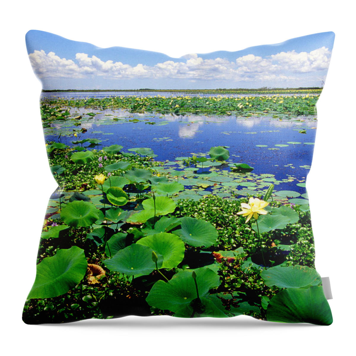 Louisiana Outback Throw Pillow featuring the photograph Water lilies along the Creole Nature Trail by Thomas R Fletcher