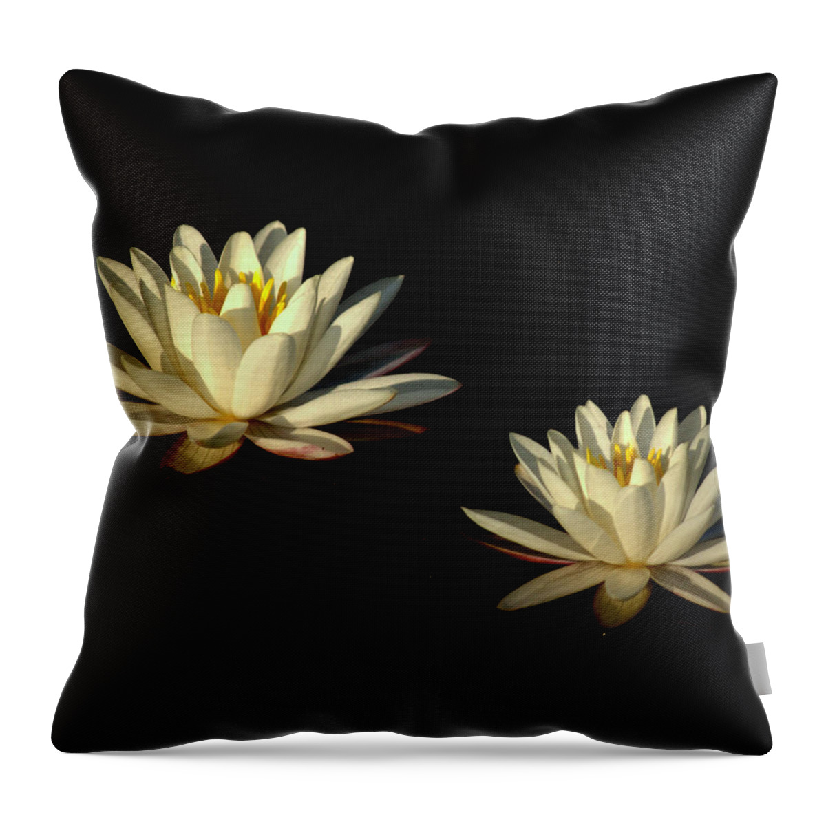 Water Throw Pillow featuring the photograph Water Lilies by Beth Vincent
