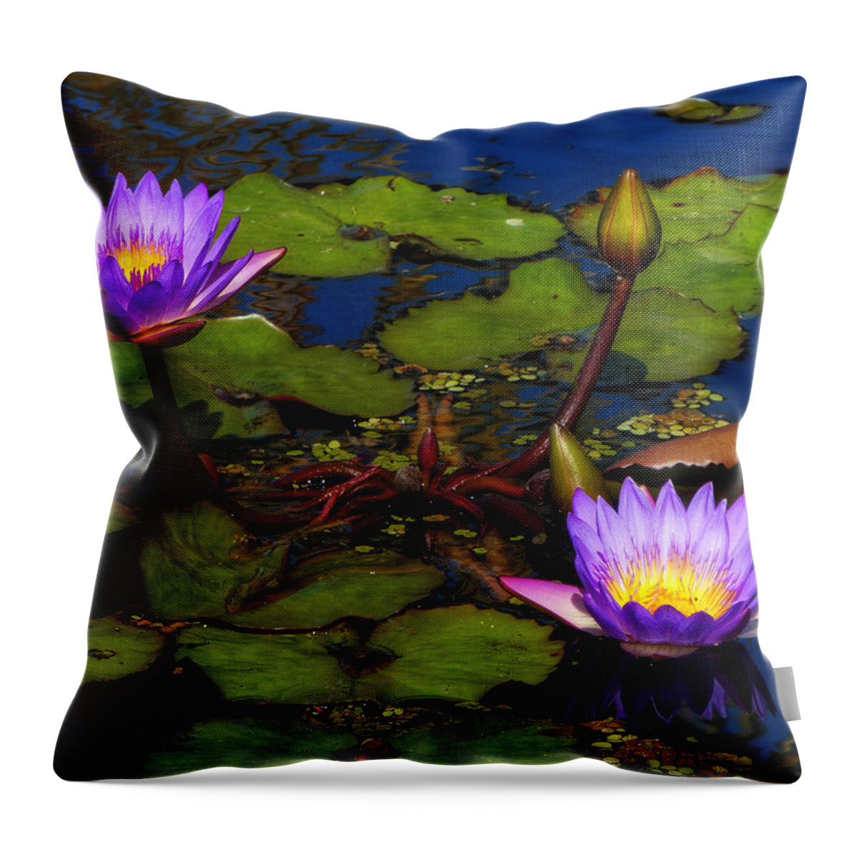 Alligators Throw Pillow featuring the photograph Water Lilies IV by Kathi Isserman