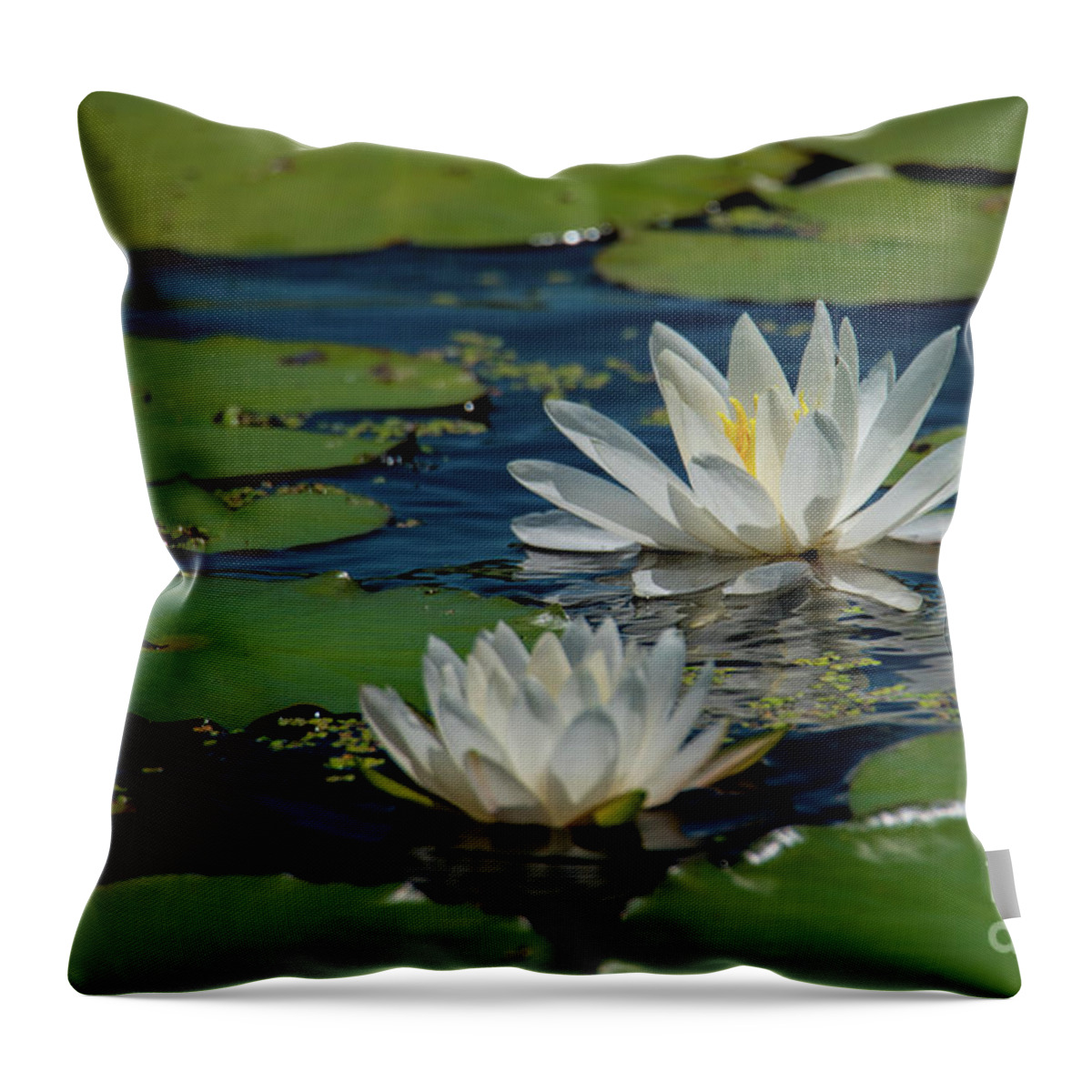 Lily Throw Pillow featuring the photograph Water Lilies by Paul Mashburn