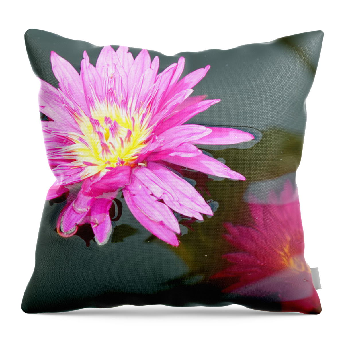 Water Lilies Throw Pillow featuring the photograph Water lilies by Peter Ponzio