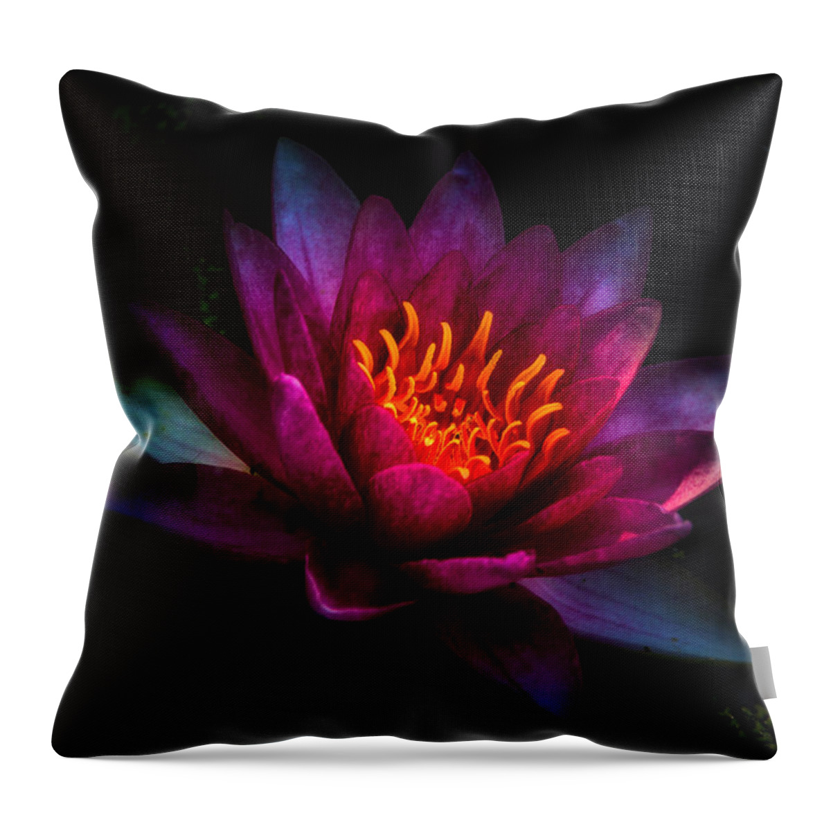 Jay Stockhaus Throw Pillow featuring the photograph Water Lily 2 by Jay Stockhaus