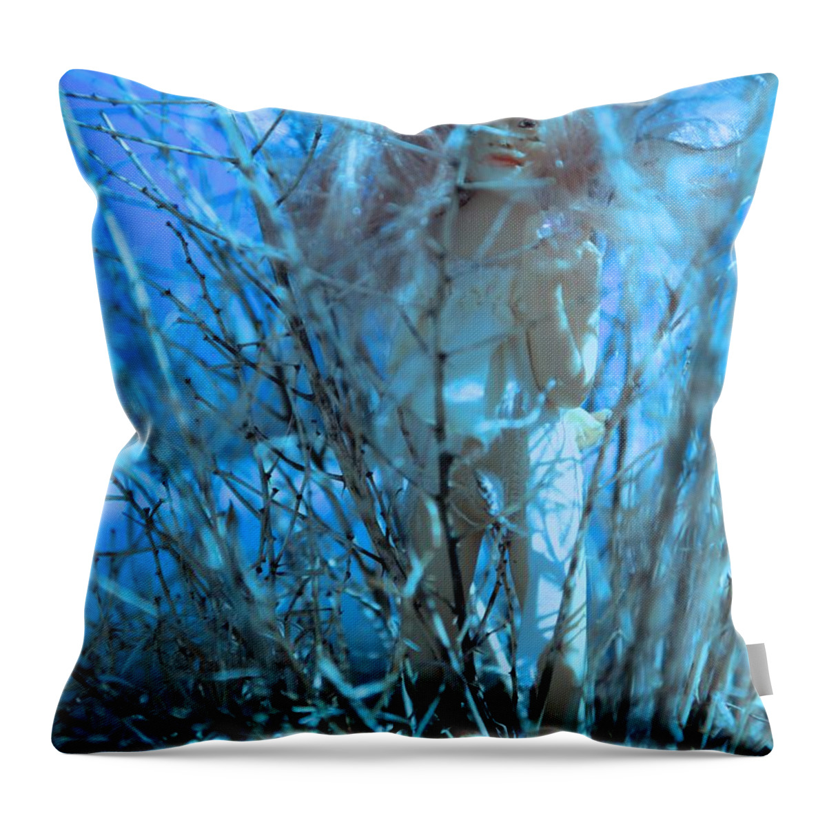 Water Lily Throw Pillow featuring the photograph Water Lily by Kate Purdy