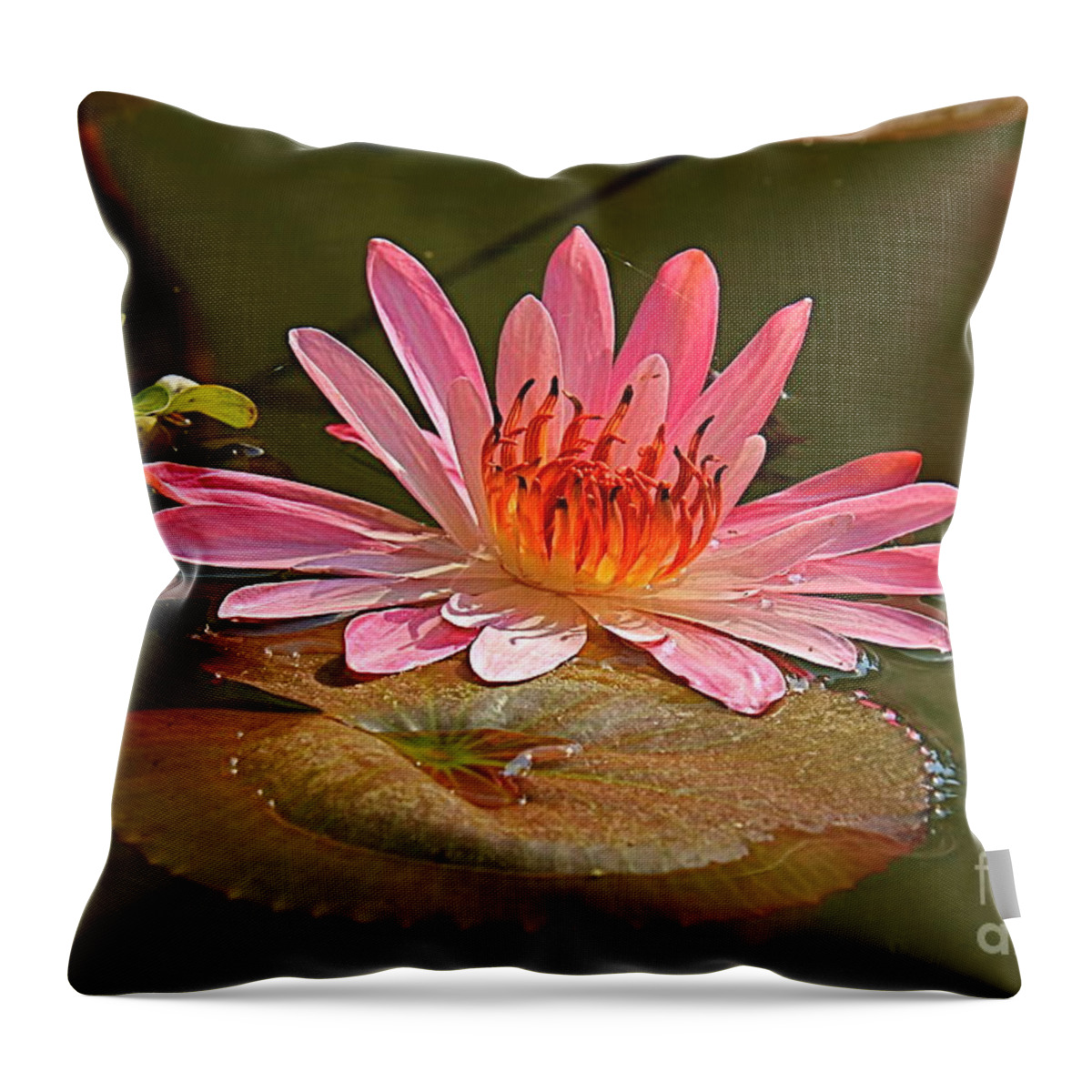 Water Throw Pillow featuring the photograph Water Lily by Nicola Fiscarelli