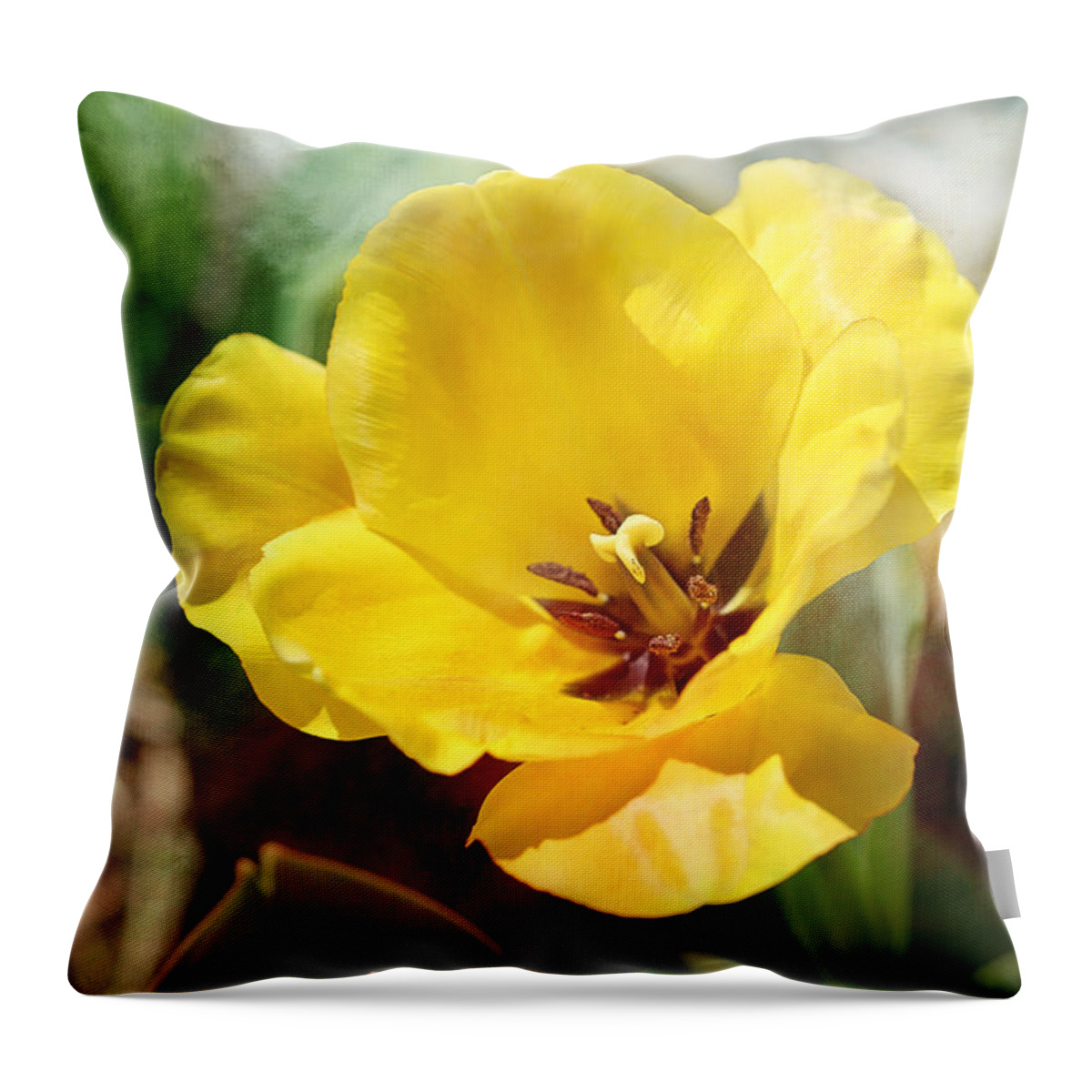 Water Lily Throw Pillow featuring the photograph Water Lily Tulip Flower by Theresa Campbell