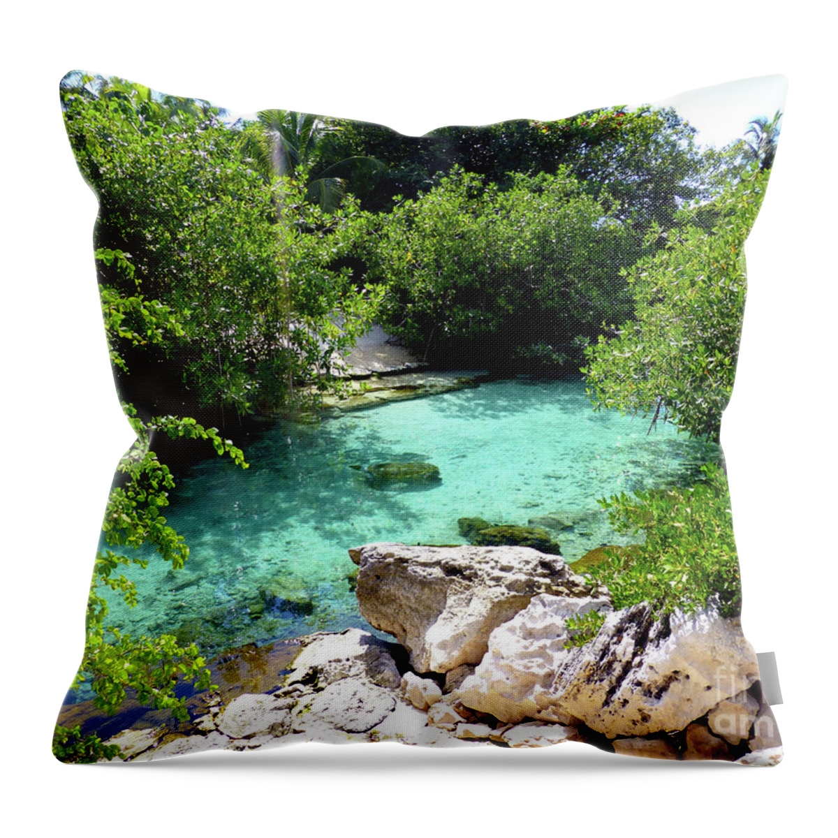 Shallow Water Throw Pillow featuring the photograph Water shallows by Francesca Mackenney