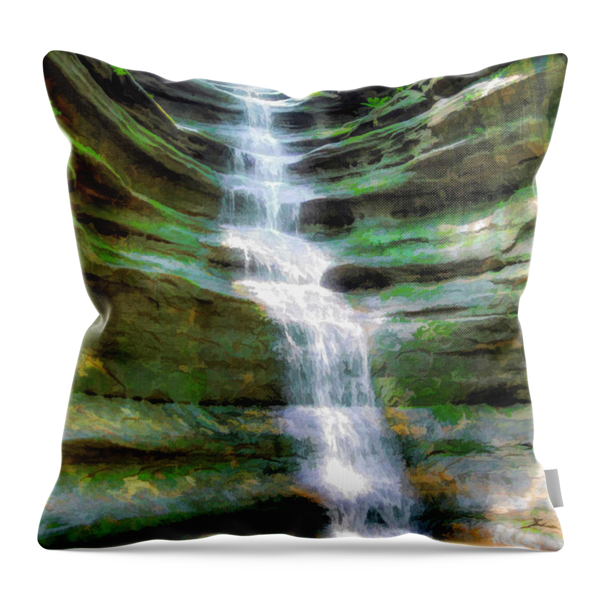 Chicago Throw Pillow featuring the photograph Water Steps by Will Wagner
