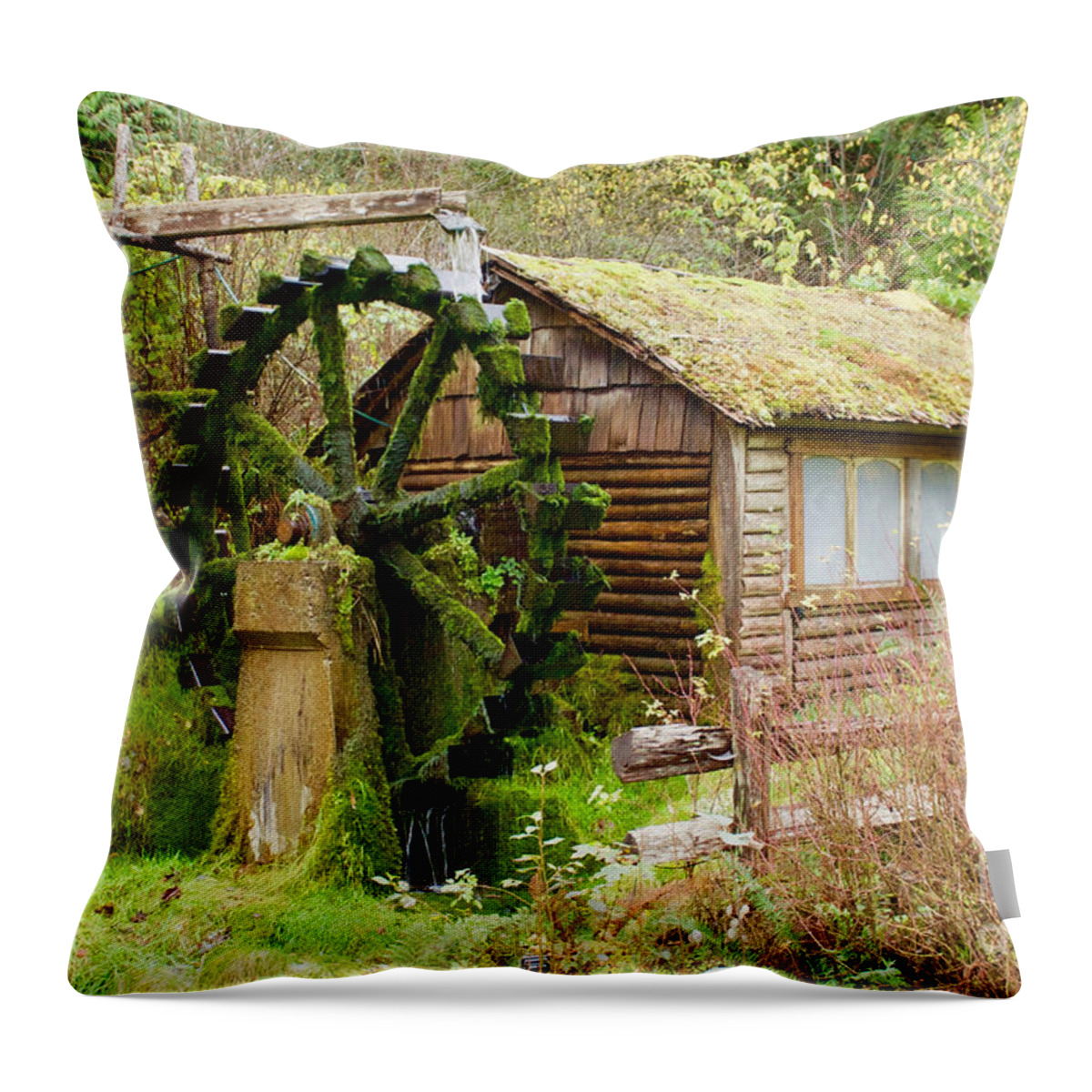 Photography Throw Pillow featuring the photograph Water Wheel by Sean Griffin