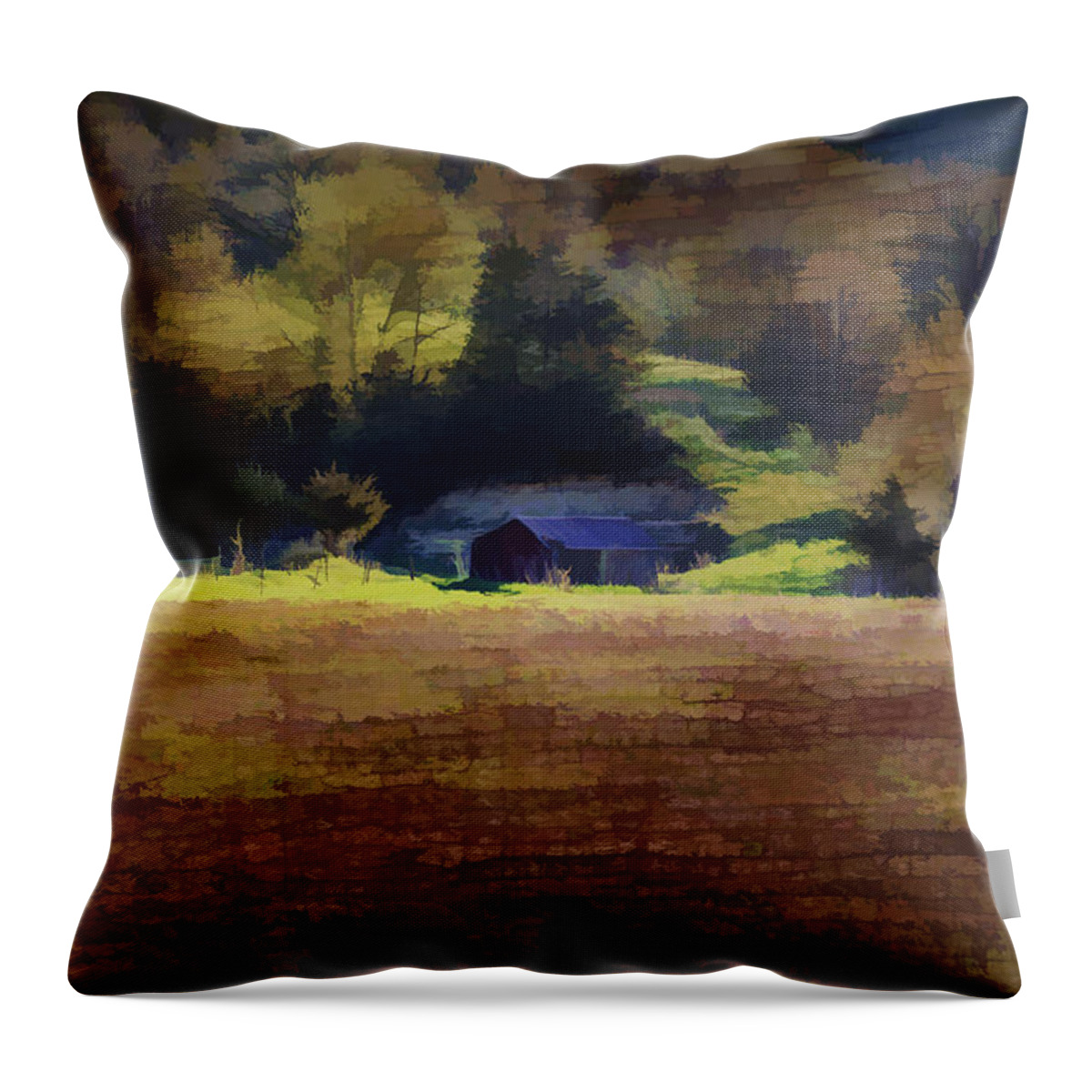 Southwest Wisconsin Barn Throw Pillow featuring the photograph Watercolor Barn Southwest Wisconsin by Thomas Young