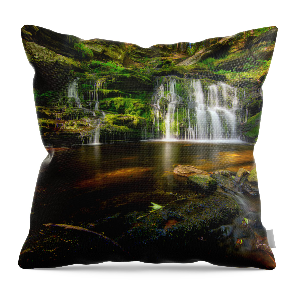 Landscape Throw Pillow featuring the photograph Waterfall at Day Pond State Park by Craig Szymanski