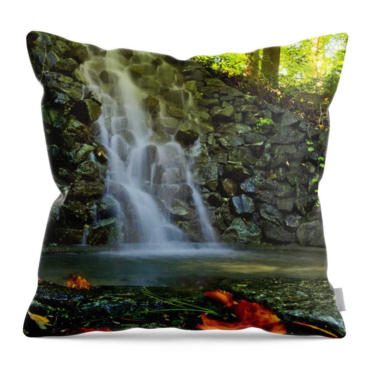 Autumn Throw Pillow featuring the photograph Waterfall Foliage by Amanda Jones