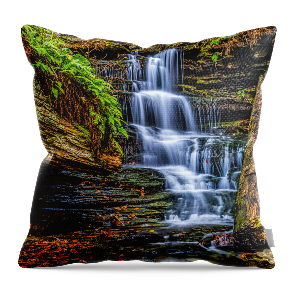 Glen Throw Pillow featuring the photograph Waterfall in Autumn by Nick Zelinsky Jr