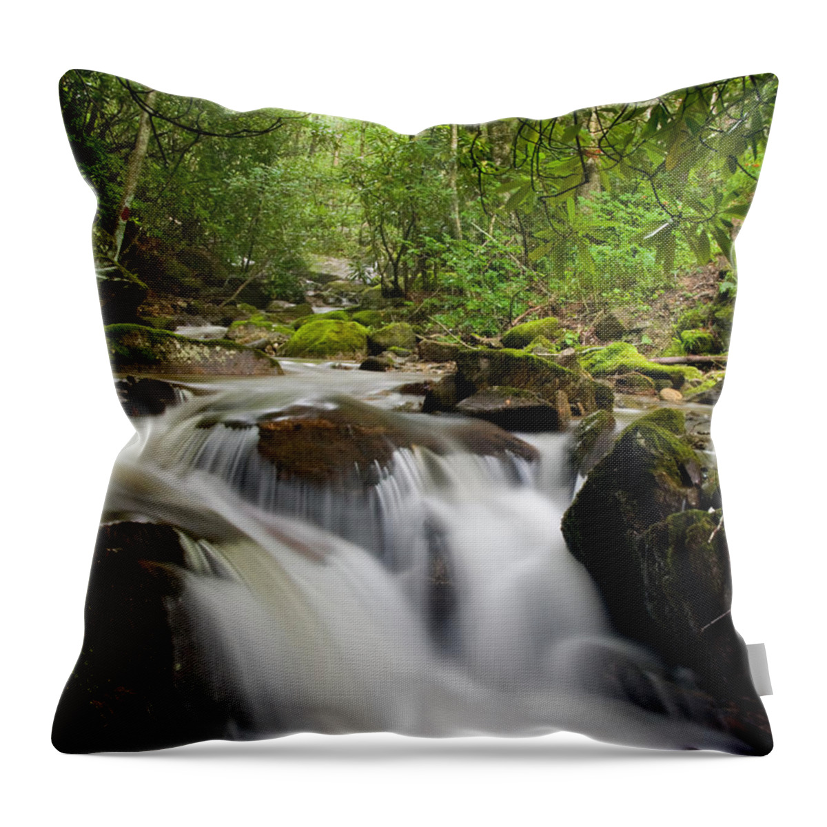 Falls Throw Pillow featuring the photograph Waterfall in the Forest by Jill Lang