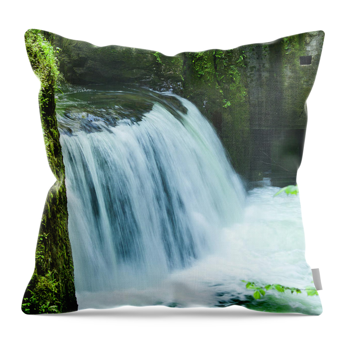 Waterfall Landscape Throw Pillow featuring the photograph Waterfall by Paul MAURICE