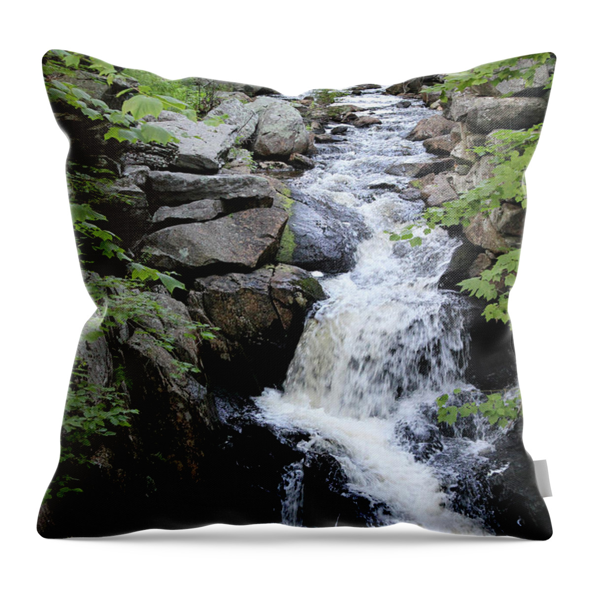 Pillsbury Throw Pillow featuring the photograph Waterfall Pillsbury State Park by Samantha Delory