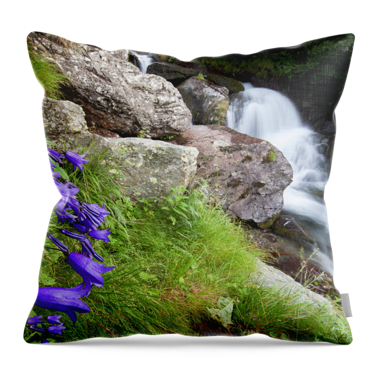 Wild Throw Pillow featuring the photograph Waterfalls and Bluebells by Mircea Costina Photography