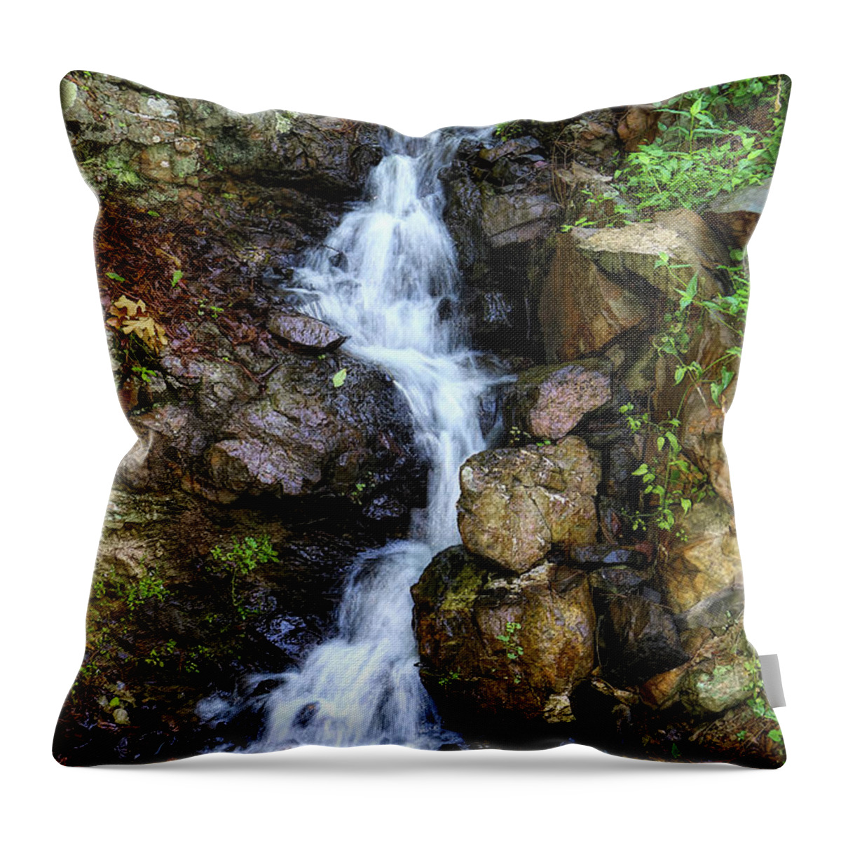 Water Throw Pillow featuring the photograph Waterfalls by Elaine Malott