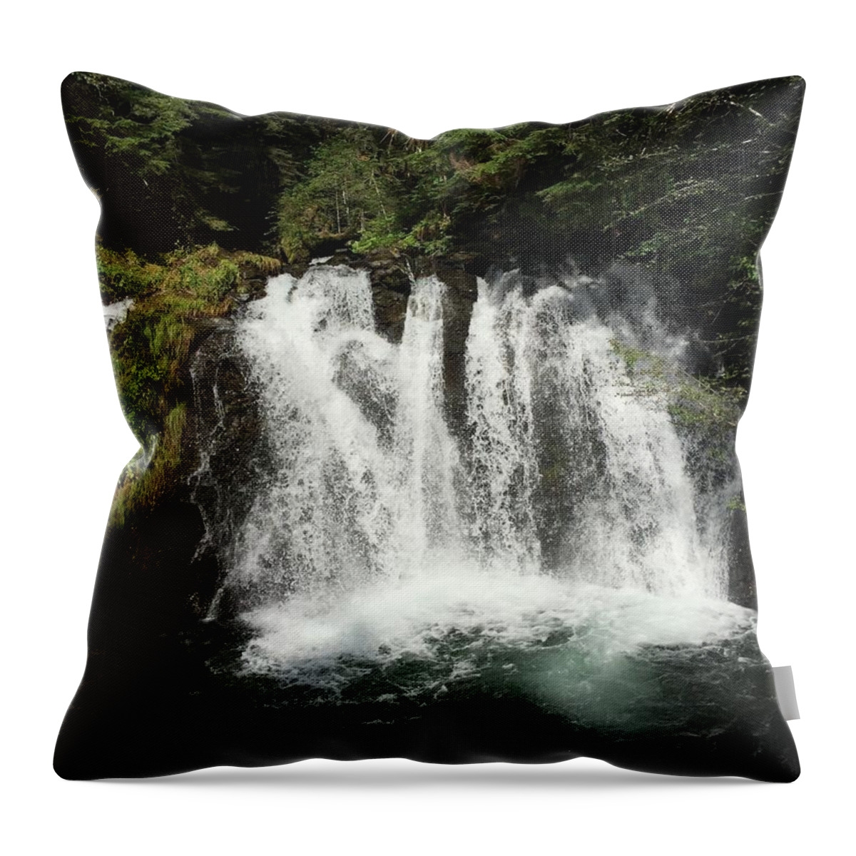 Waterfall Throw Pillow featuring the photograph Waterfalls in Juneau  by Robert Blankenship