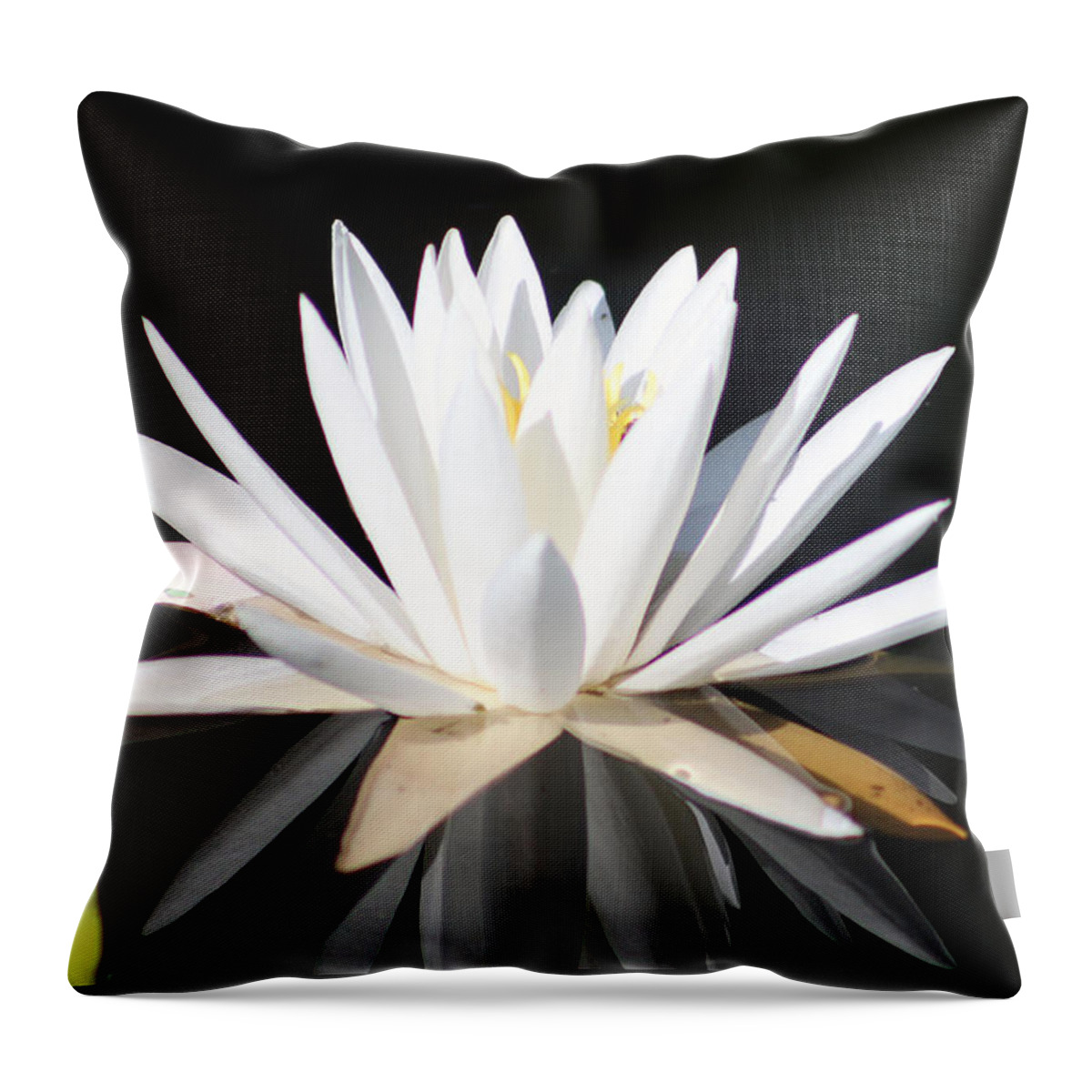 Flowers Throw Pillow featuring the photograph Waterlily Wonder by DB Hayes