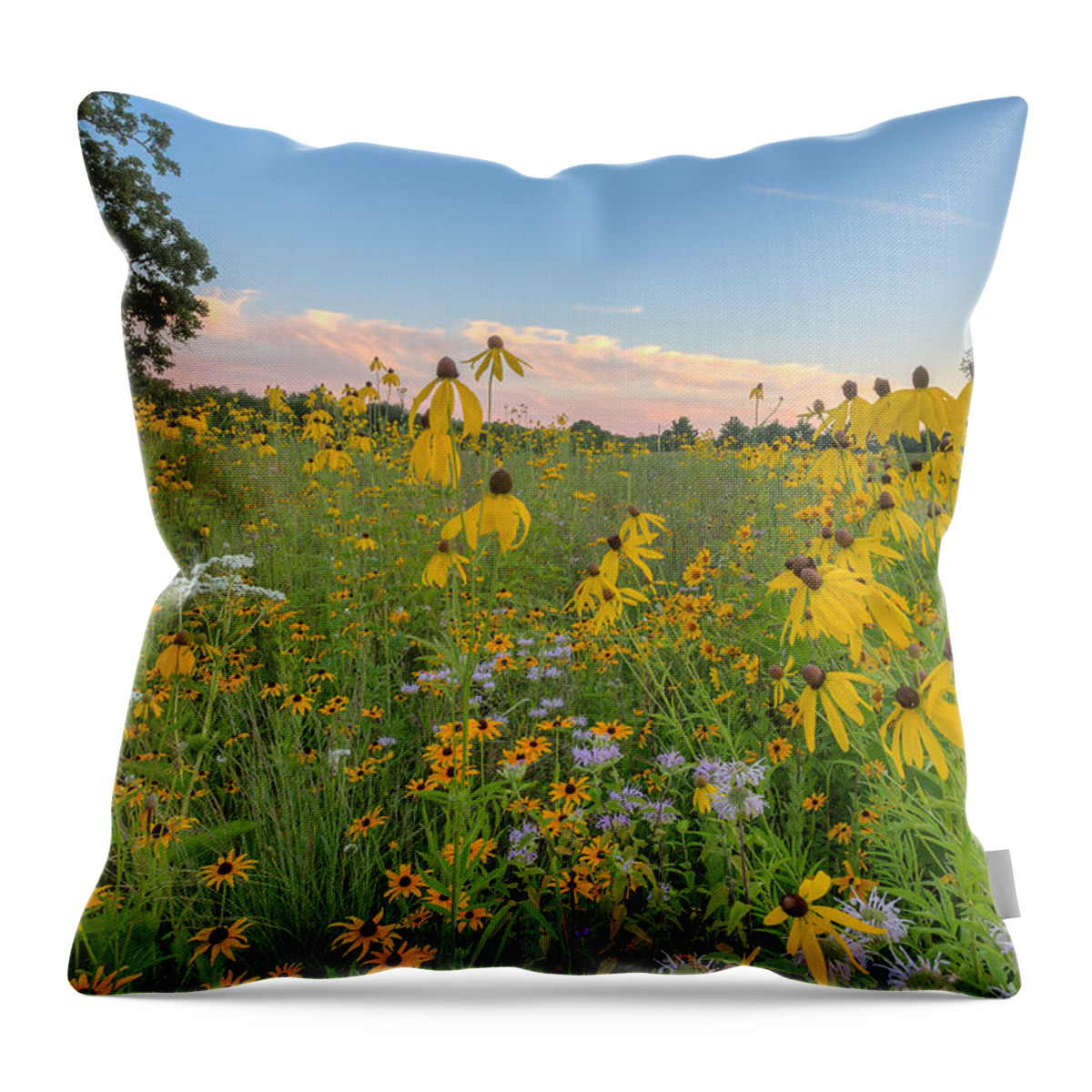 Flowers Throw Pillow featuring the photograph Prairie 1 by Paul Schultz