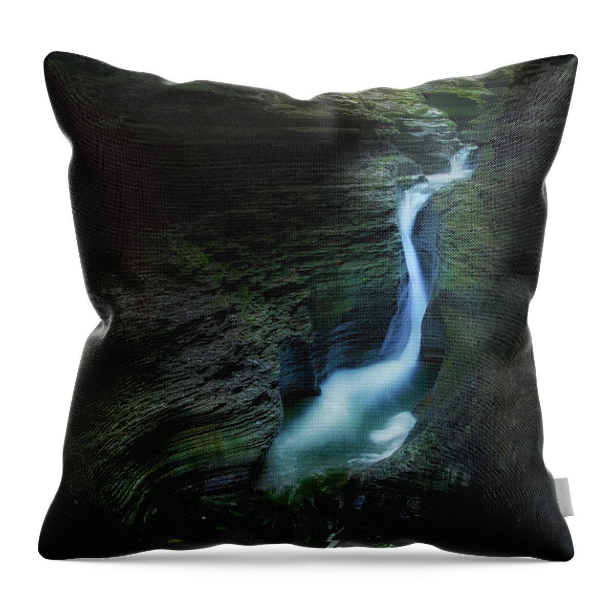 Watkins Glen Throw Pillow featuring the photograph Watkins Glen Gorge by Bill Wakeley