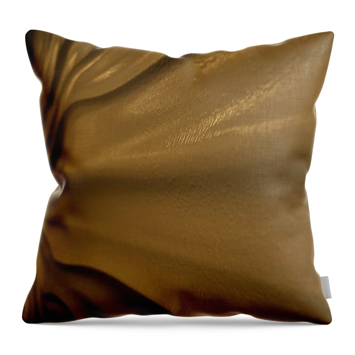 Walls Throw Pillow featuring the photograph Wavy Wall Chocolate by Rob Hans