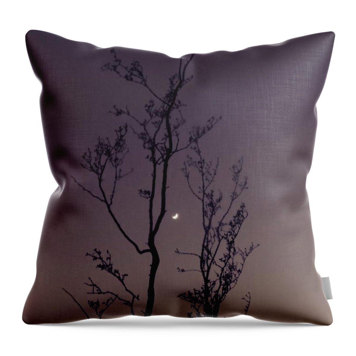 Aquarius Throw Pillow featuring the photograph Waxing Moon in Aquarius by Judy Kennedy