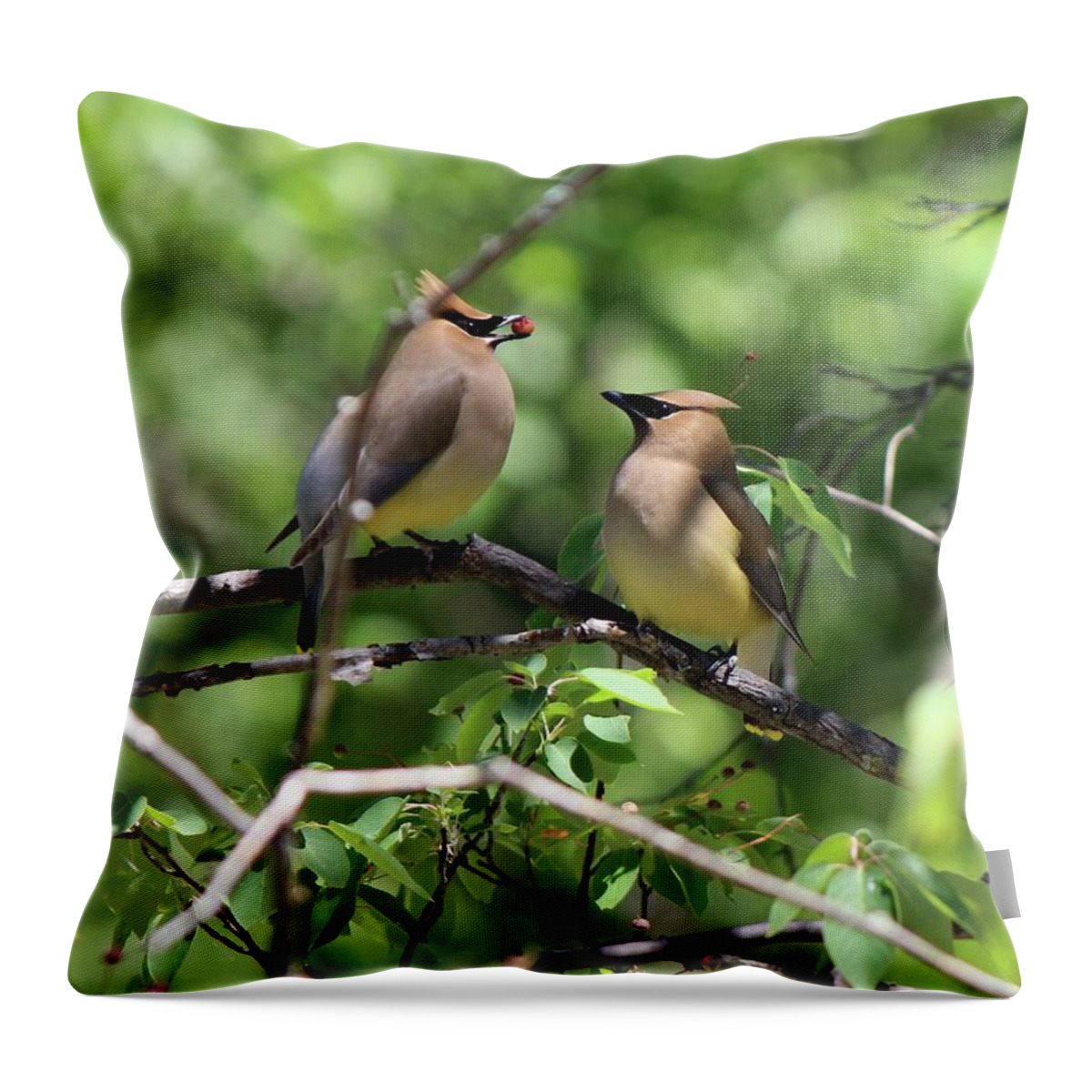 Cedar Waxwing Throw Pillow featuring the photograph Waxwing Socialism by David Pickett