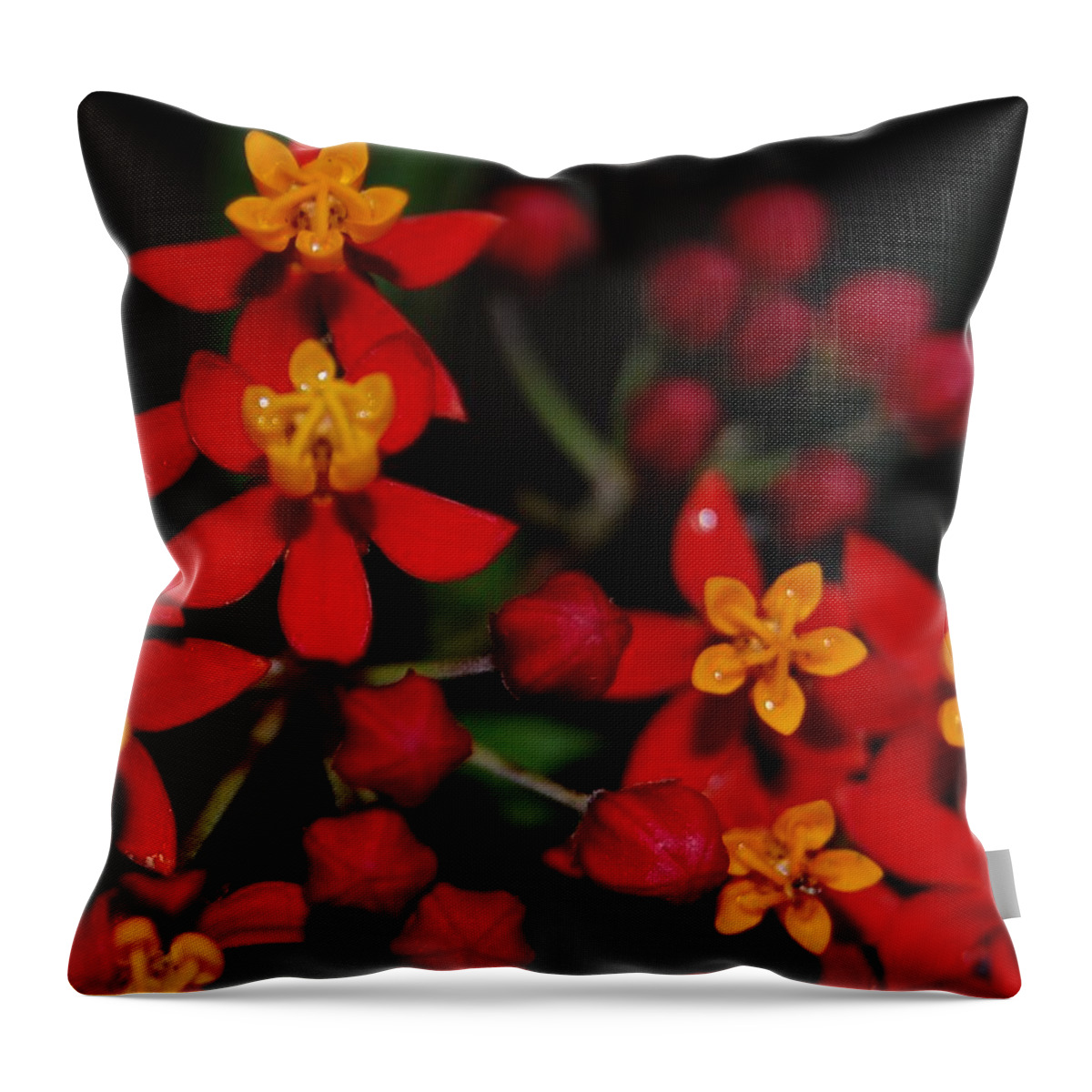 Asclepias Throw Pillow featuring the photograph Waxy by Jean Booth