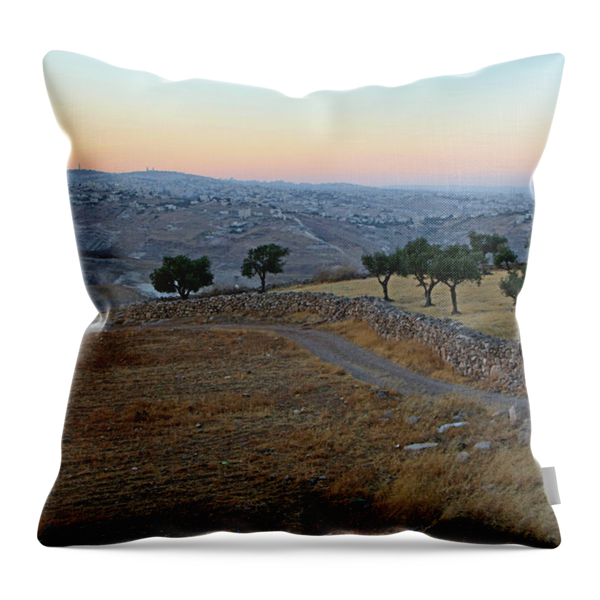 Bethlehem Fields Throw Pillow featuring the photograph Way to Jerusalem by Munir Alawi