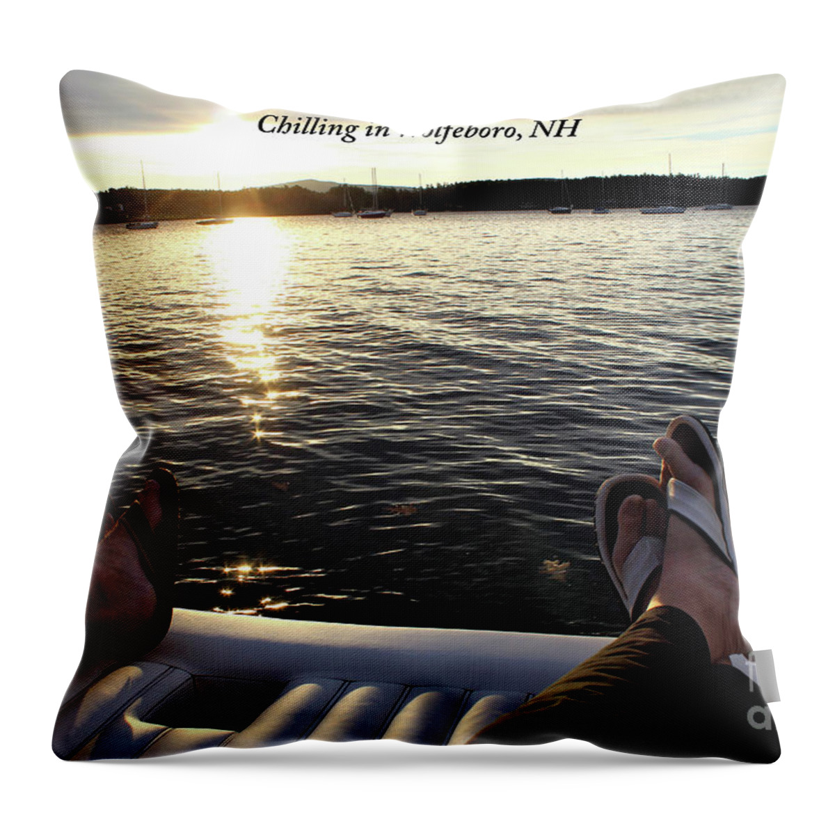  Throw Pillow featuring the photograph Wb004 by Donn Ingemie