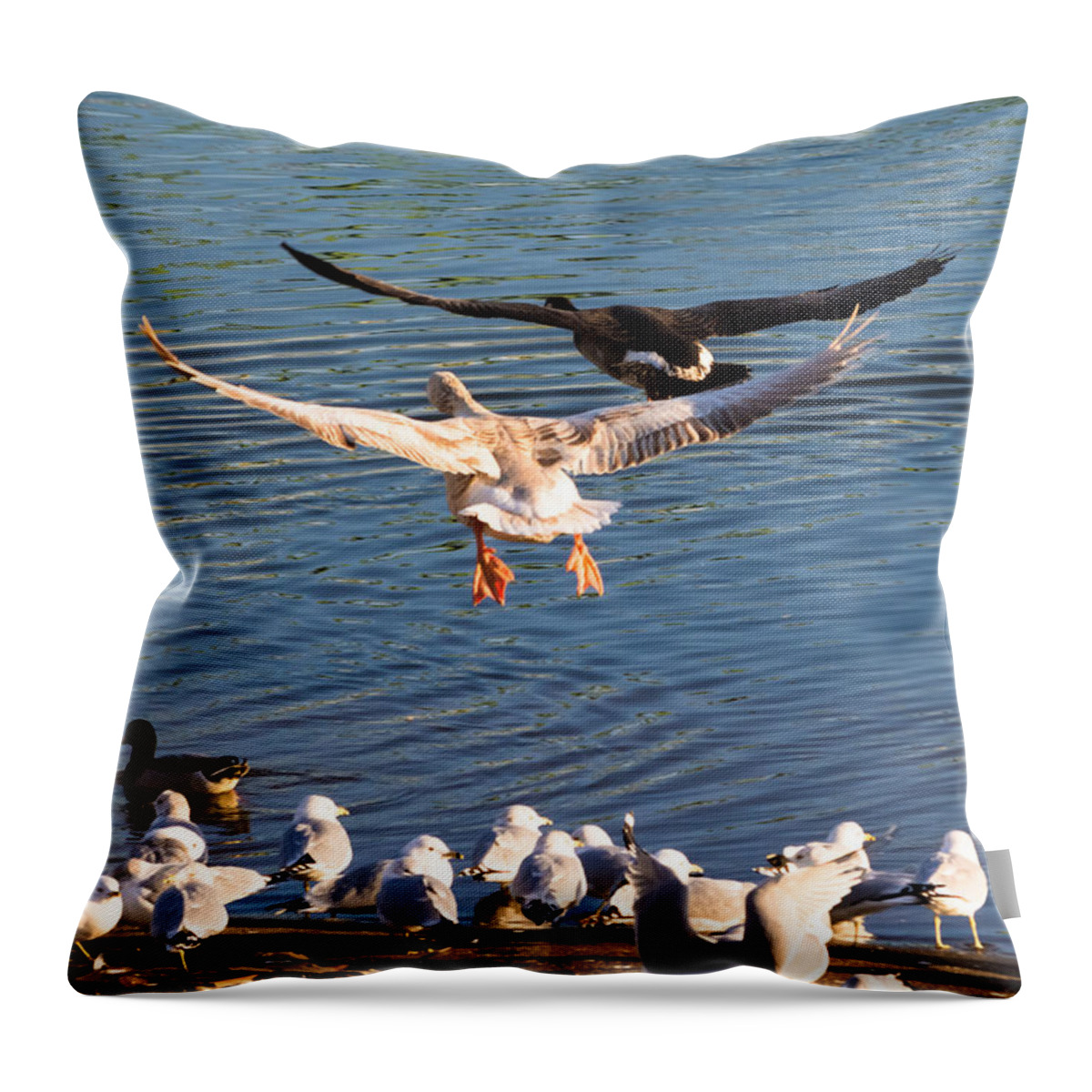 Jan Holden Throw Pillow featuring the photograph We Have Lift Off by Holden The Moment