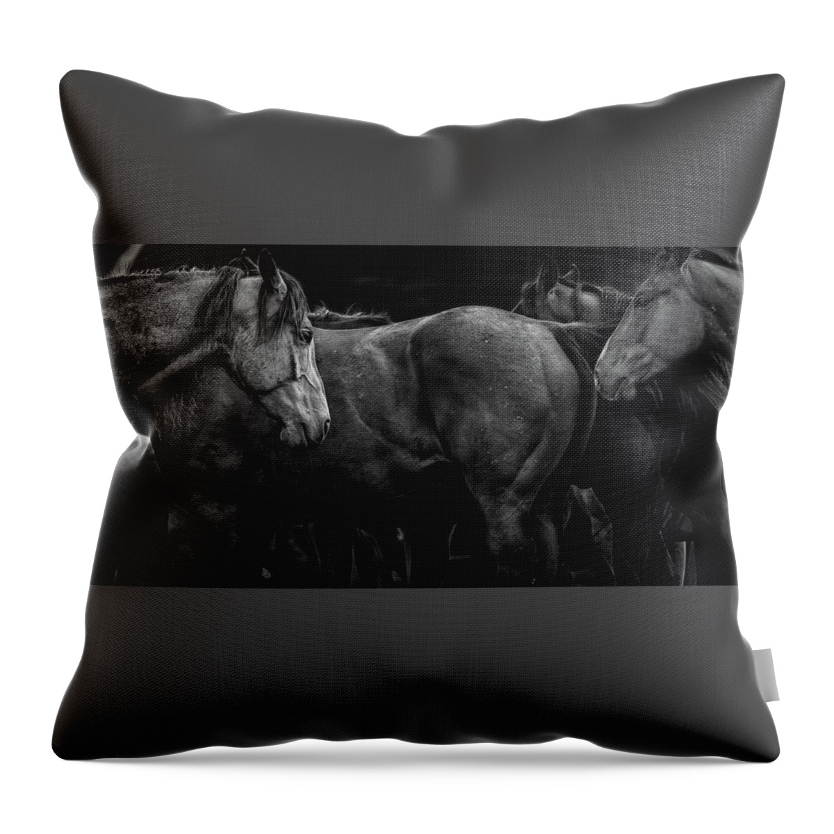 Horse Throw Pillow featuring the photograph We Meet Again by Ryan Courson
