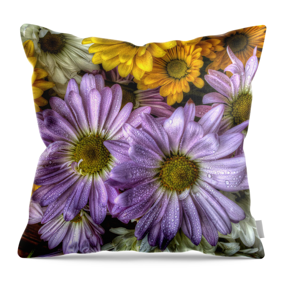 Daisies Throw Pillow featuring the photograph We Need To Be Together by Mike Eingle