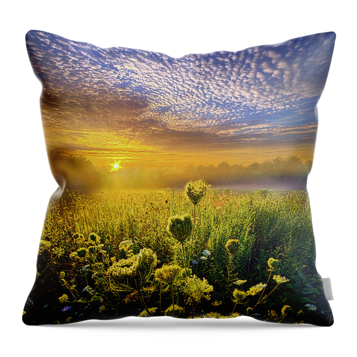 Summer Throw Pillow featuring the photograph We Shall Be Free by Phil Koch