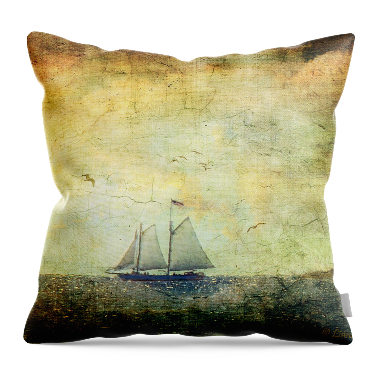 Sailing Throw Pillow featuring the photograph We Shall Not Cease by Lianne Schneider